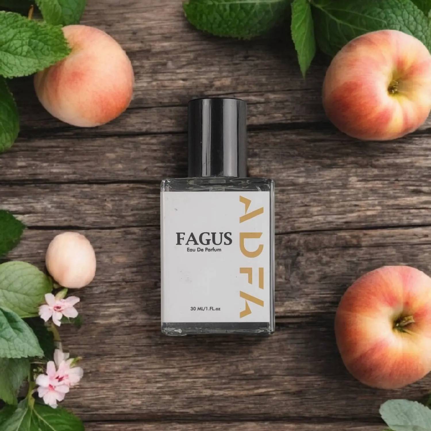 Fagus